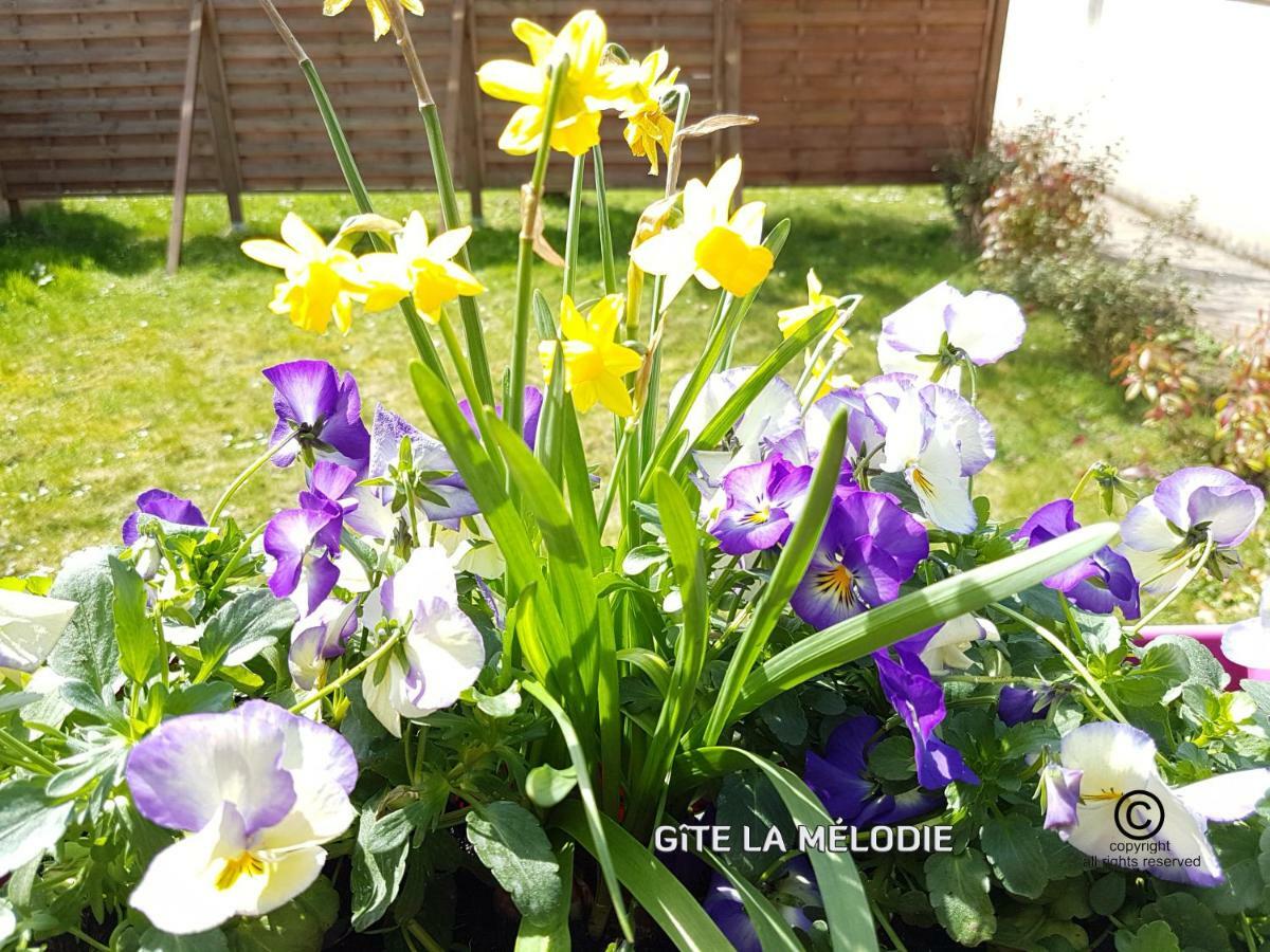 Gite La Melodie Longueville  Экстерьер фото